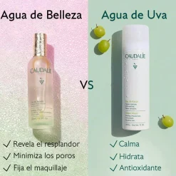 Agua de uva - 300mL