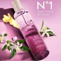 Agua Fresca Thé des Vignes-50ml