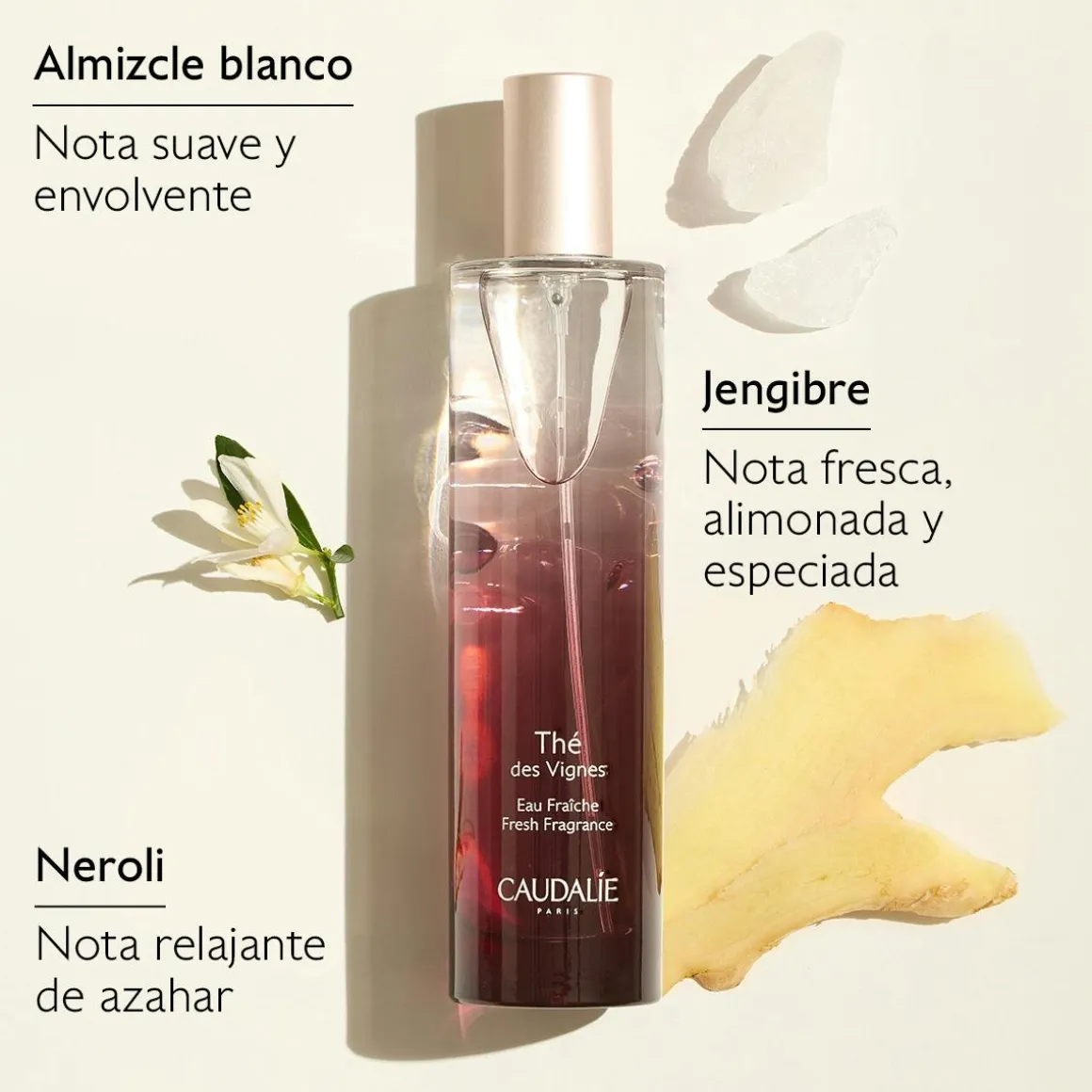 Agua Fresca Thé des Vignes-50ml