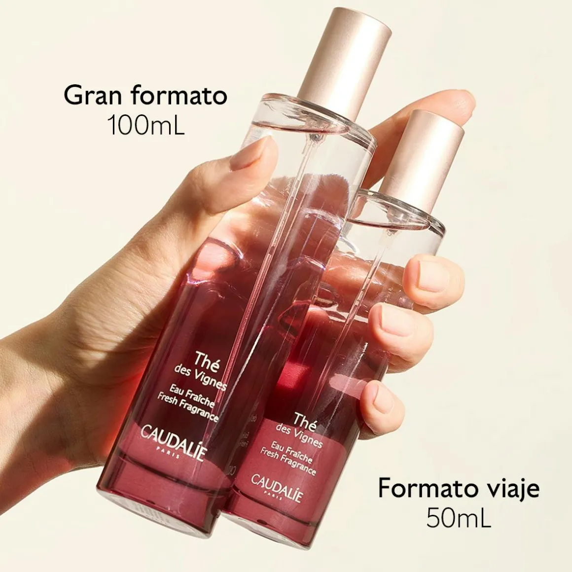 Agua Fresca Thé des Vignes-50ml