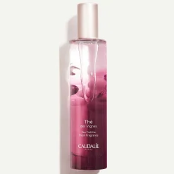 Agua Fresca Thé des Vignes-100ml