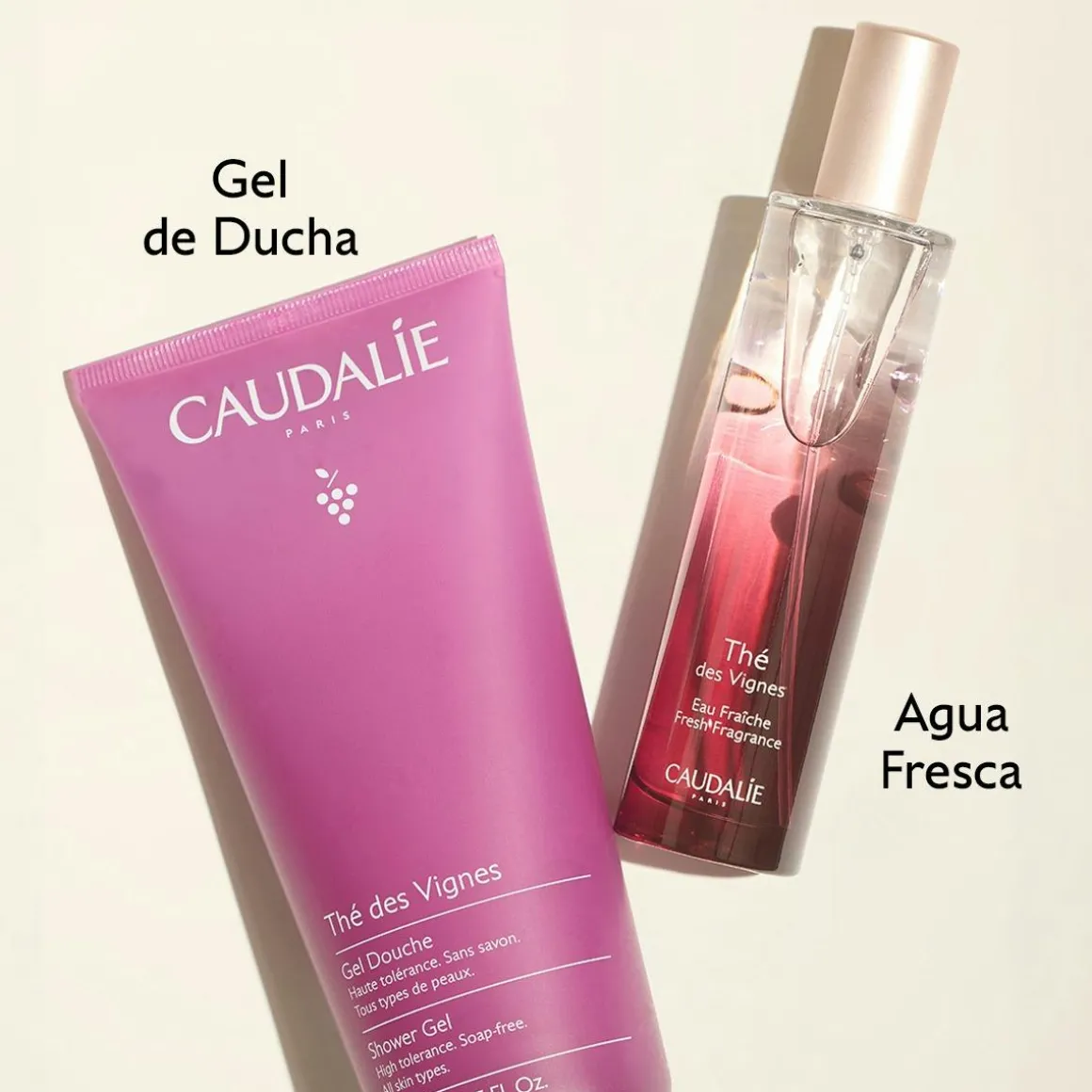 Agua Fresca Thé des Vignes-100ml
