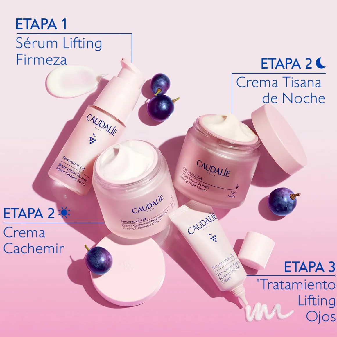 Crema Tisana de Noche con Resveratrol, Alternativa al Retinol - Recarga
