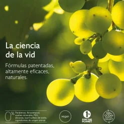 El Contorno de Ojos