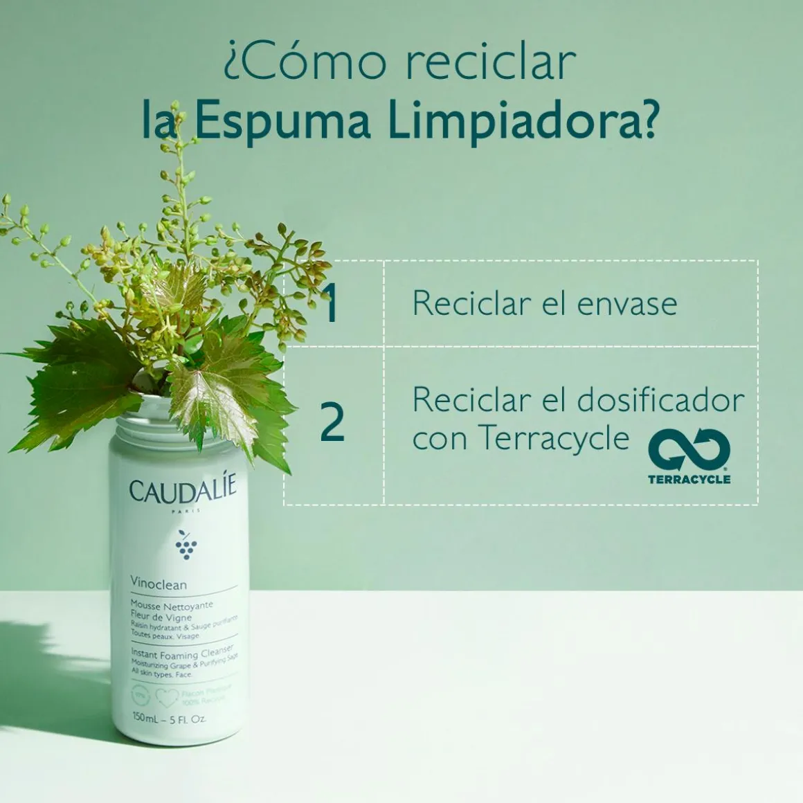 Espuma Limpiadora Fleur de Vigne con Camomila - 150ml