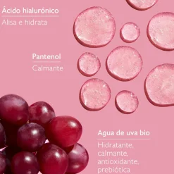 Gelatina Limpiadora Hidratante
