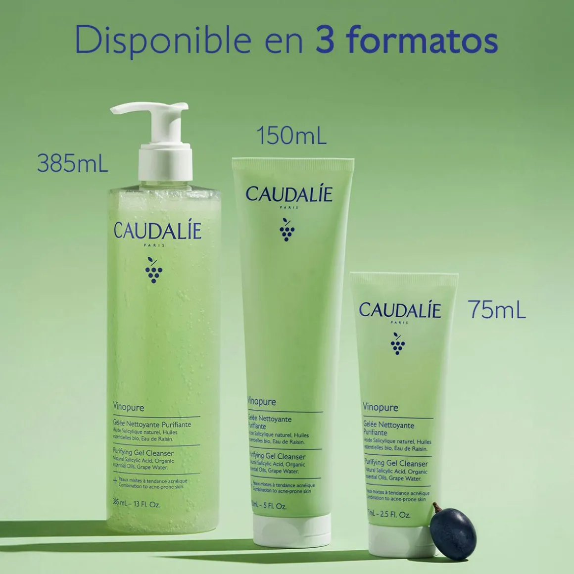 Gelatina Limpiadora Purificante con Acido Salicílico - 75mL