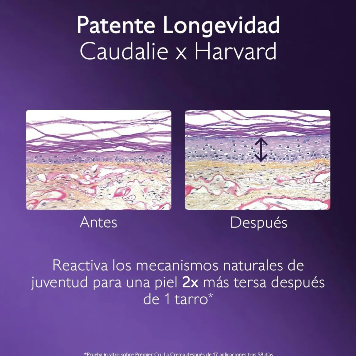 La Crema con Patente Longevidad + Filler Redensificante Natural