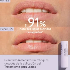 Tratamiento para Labios con Manteca de Karité