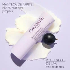 Tratamiento para Labios con Manteca de Karité