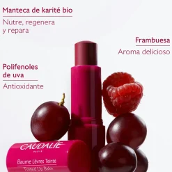 Tratamiento para Labios con Color